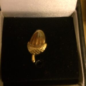 Acorns Pin Badge (﻿OUT OF STOCK)