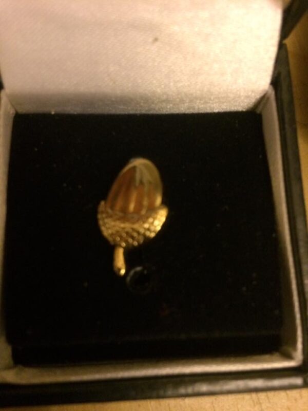 Acorns Pin Badge (﻿OUT OF STOCK)