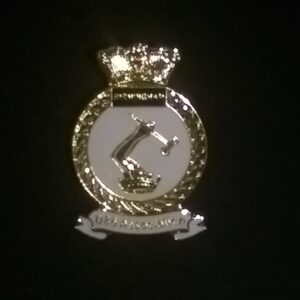 Association Pin Badges